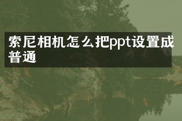 索尼相机怎么把ppt设置成普通