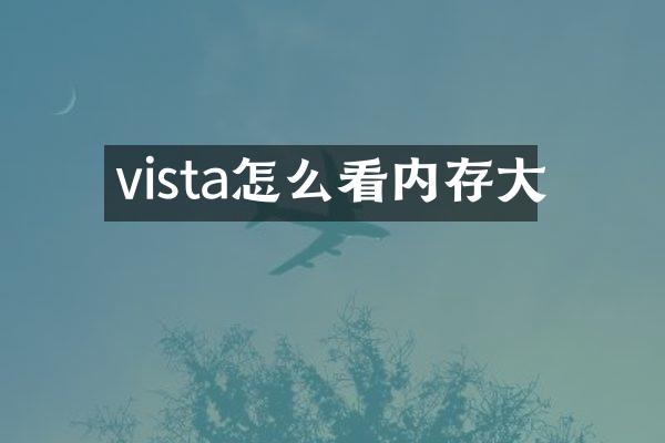 vista怎么看内存大