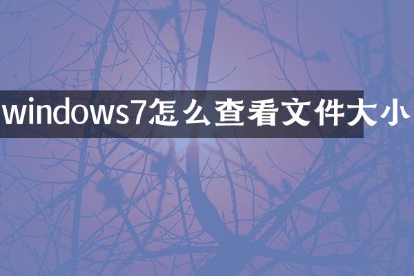 windows7怎么查看文件大小