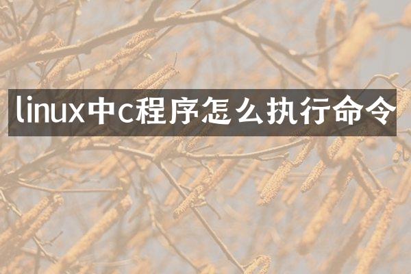 linux中c程序怎么执行命令