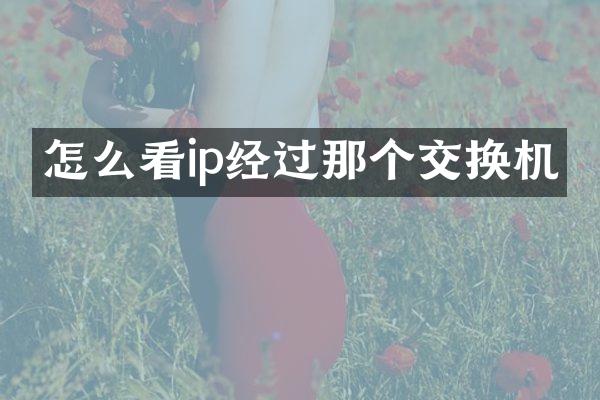 怎么看ip经过那个交换机