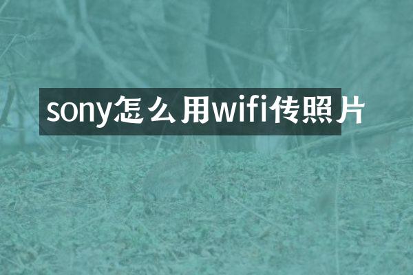 sony怎么用wifi传照片