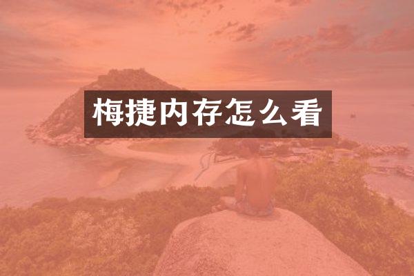 梅捷内存怎么看