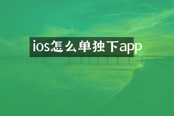 ios怎么单独下app