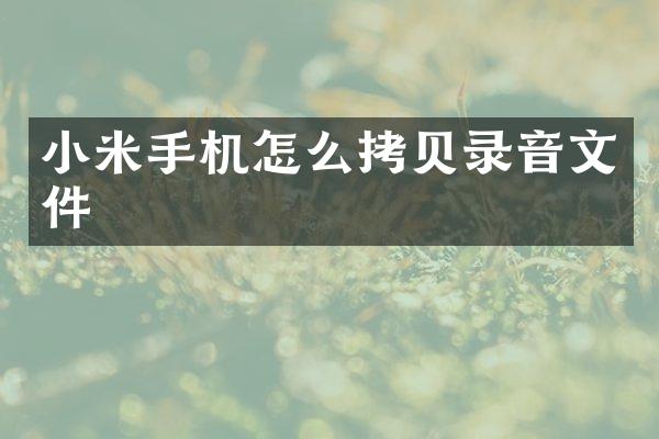 小米手机怎么拷贝录音文件