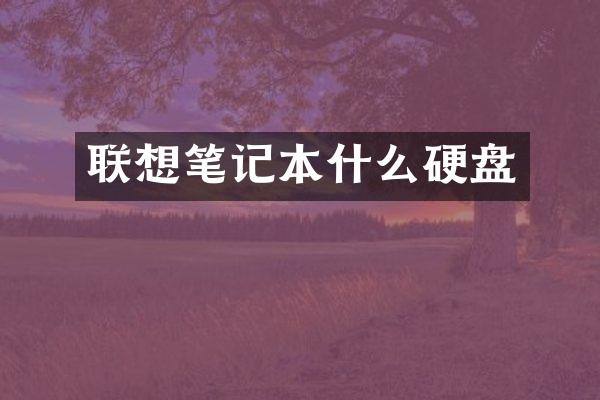联想笔记本什么硬盘