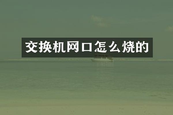 交换机网口怎么烧的