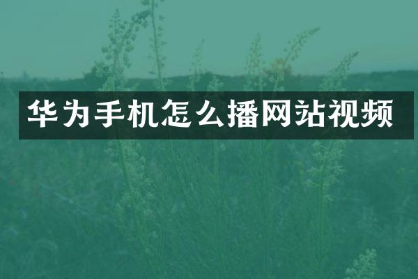 华为手机怎么播网站视频