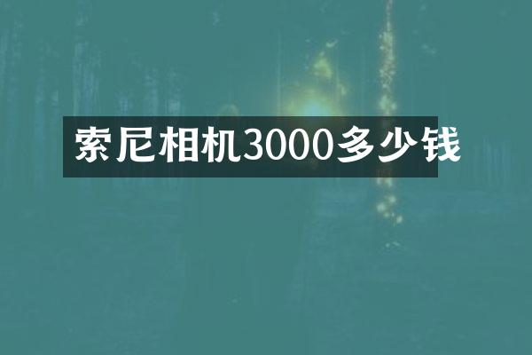 索尼相机3000多少钱