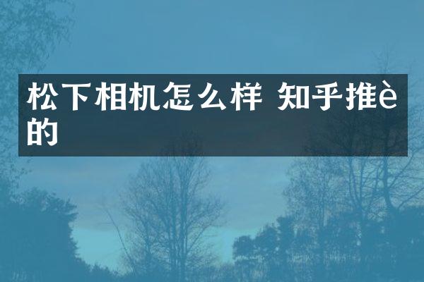 松下相机怎么样 知乎推荐的