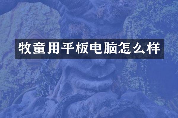 牧童用平板电脑怎么样