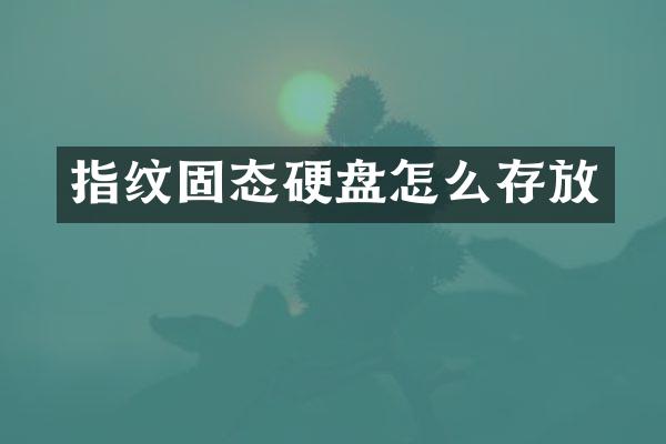 指纹固态硬盘怎么存放