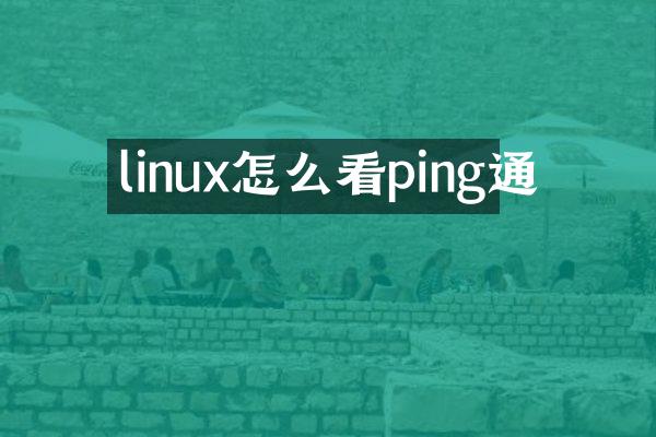 linux怎么看ping通