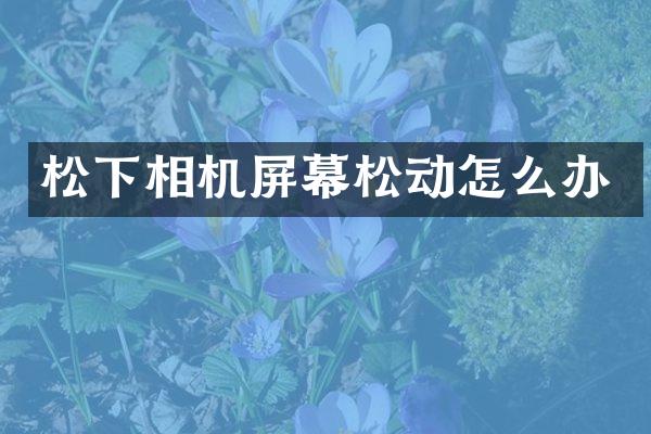 松下相机屏幕松动怎么办