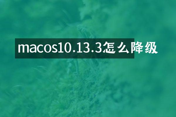 macos10.13.3怎么降级