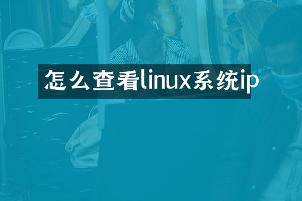 怎么查看linux系统ip