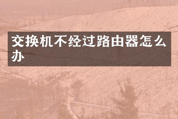 交换机不经过路由器怎么办