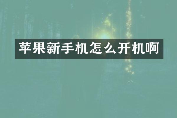 苹果新手机怎么开机啊