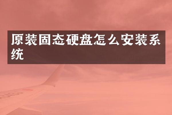 原装固态硬盘怎么安装系统