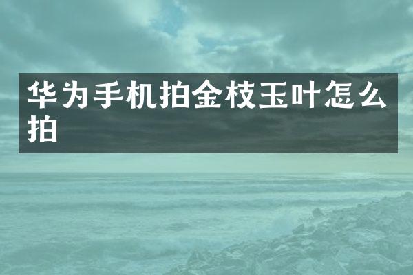 华为手机拍金枝玉叶怎么拍