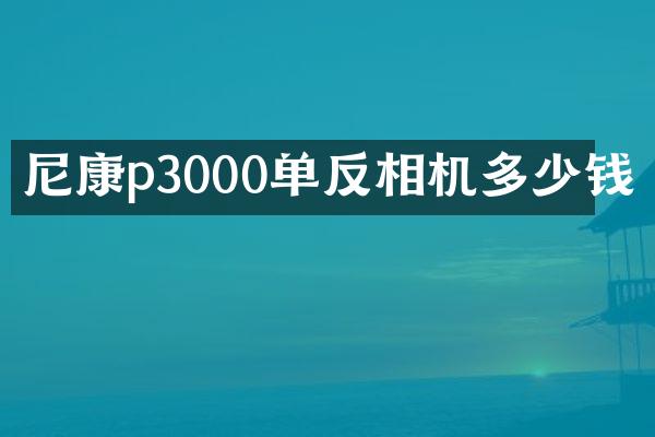 尼康p3000单反相机多少钱