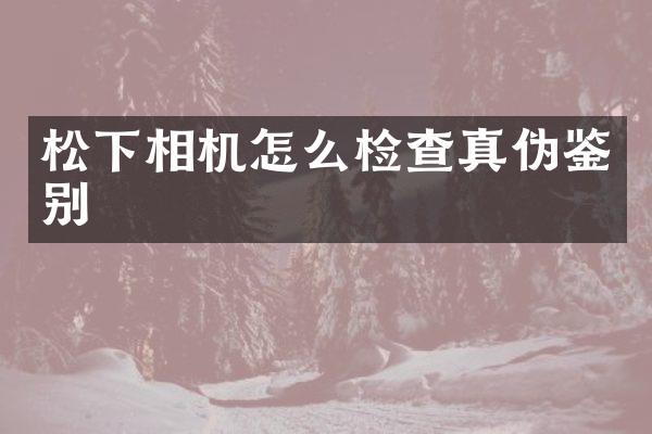 松下相机怎么检查真伪鉴别