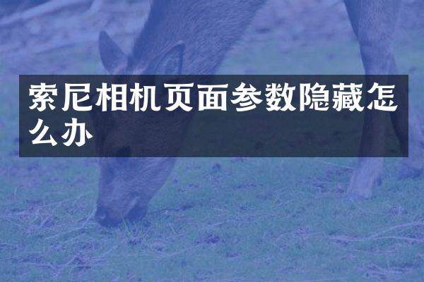 索尼相机页面参数隐藏怎么办