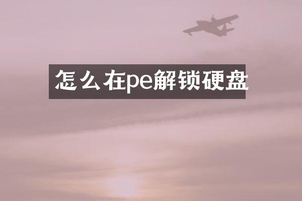 怎么在pe解锁硬盘