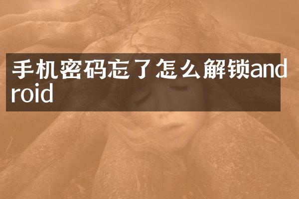 手机密码忘了怎么解锁android