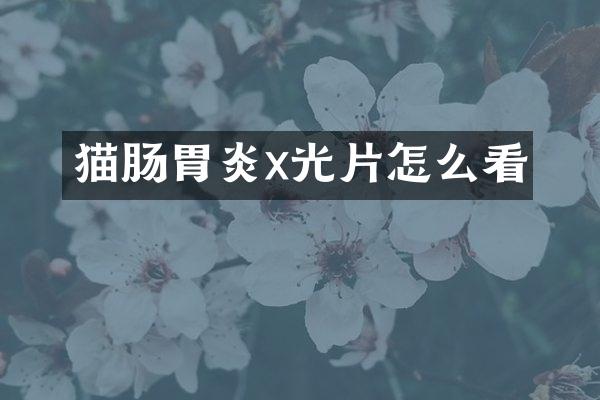 猫肠胃炎x光片怎么看