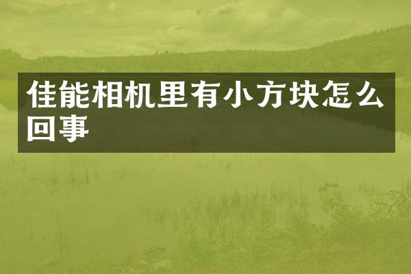 佳能相机里有小方块怎么回事