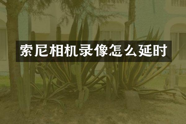 索尼相机录像怎么延时
