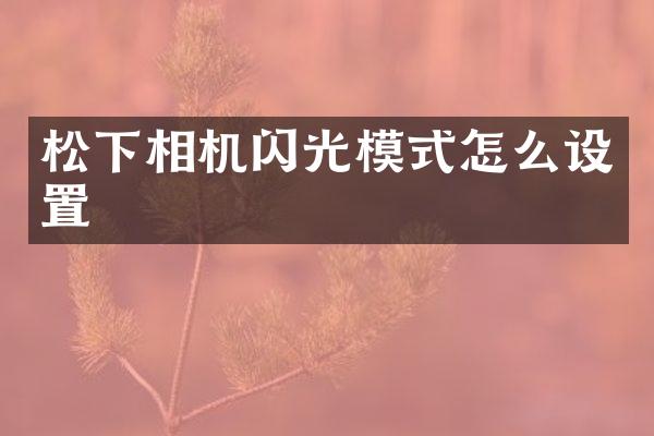 松下相机闪光模式怎么设置