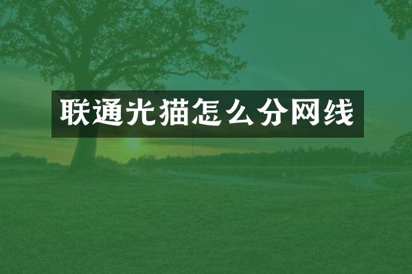 联通光猫怎么分网线