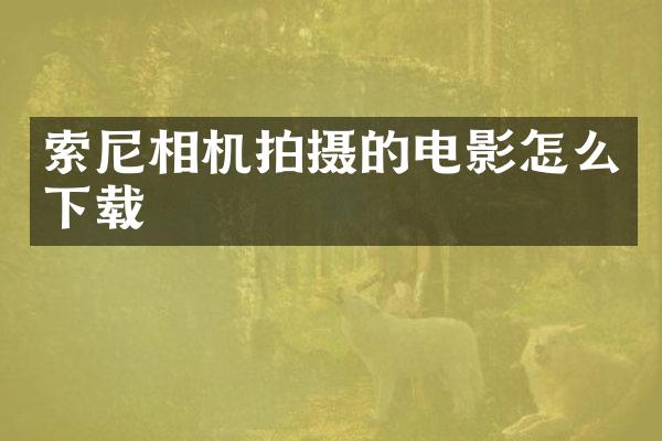 索尼相机拍摄的电影怎么下载