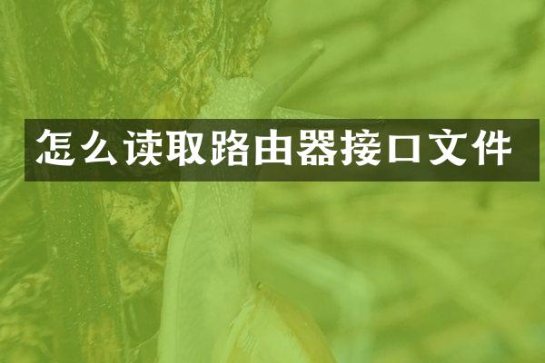 怎么读取路由器接口文件