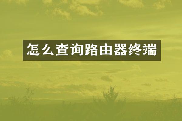 怎么查询路由器终端