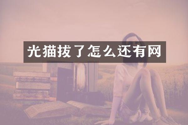 光猫拔了怎么还有网