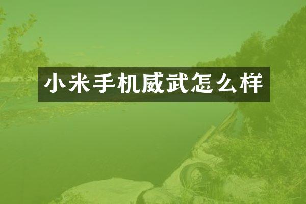 小米手机威武怎么样
