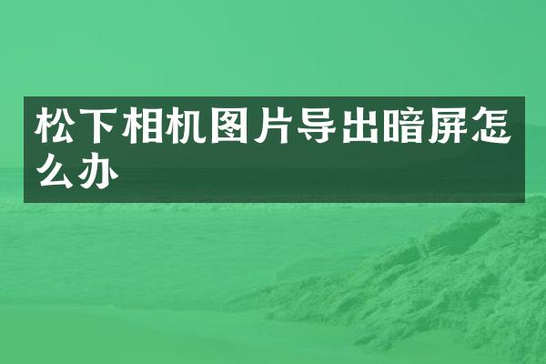松下相机图片导出暗屏怎么办