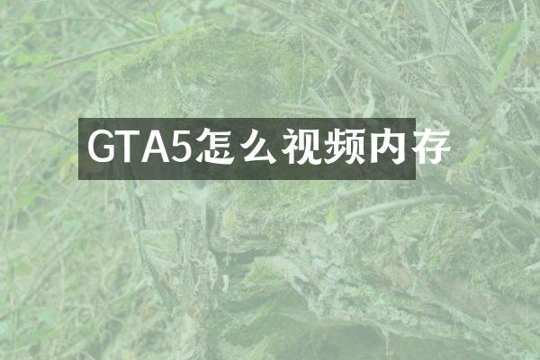 GTA5怎么视频内存