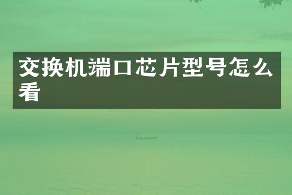 交换机端口芯片型号怎么看