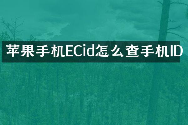 苹果手机ECid怎么查手机ID