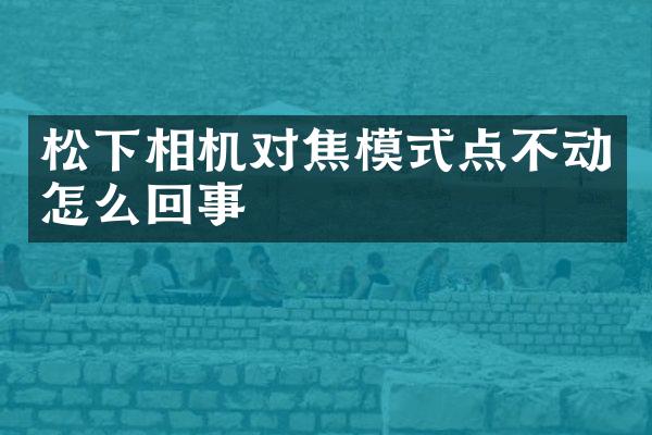 松下相机对焦模式点不动怎么回事
