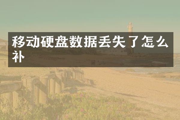 移动硬盘数据丢失了怎么补