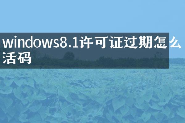 windows8.1许可证过期怎么激活码