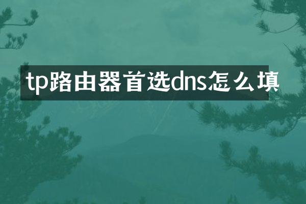 tp路由器首选dns怎么填