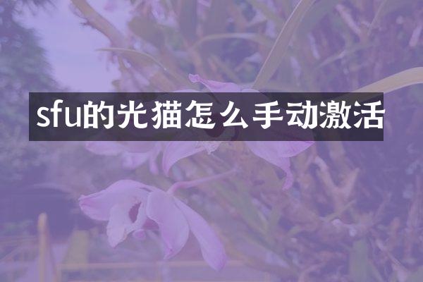 sfu的光猫怎么手动激活