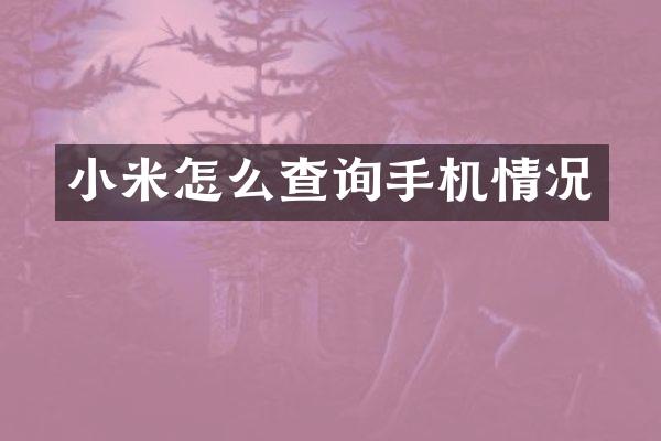 小米怎么查询手机情况