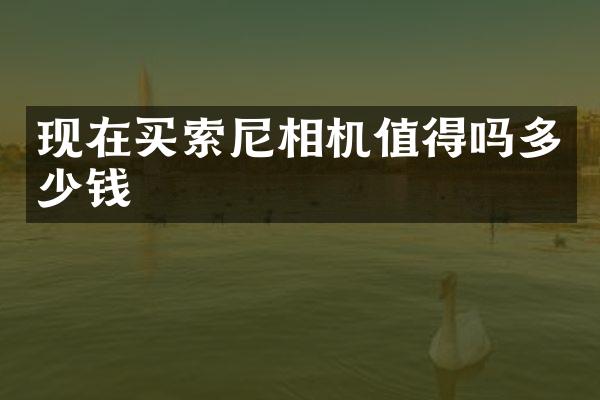 现在买索尼相机值得吗多少钱